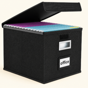 Huolewa File Organizer Box with Lids